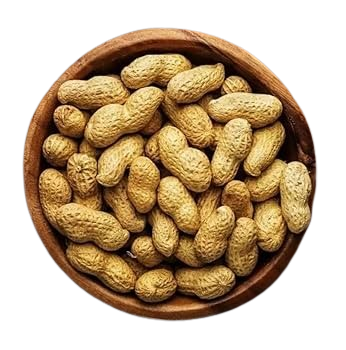 Peanuts in Shell