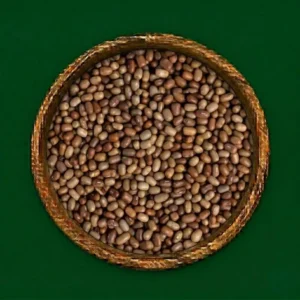 Moth Beans