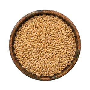 wheat