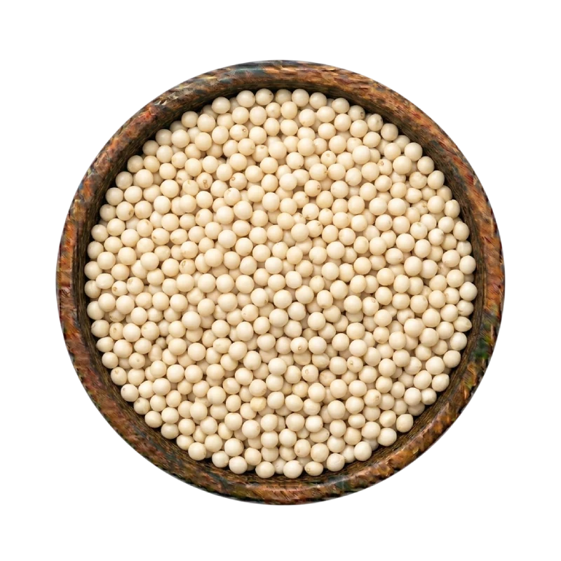 White Sorghum