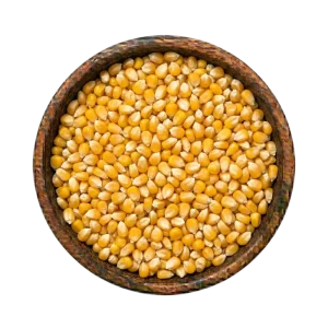 Yellow Corn