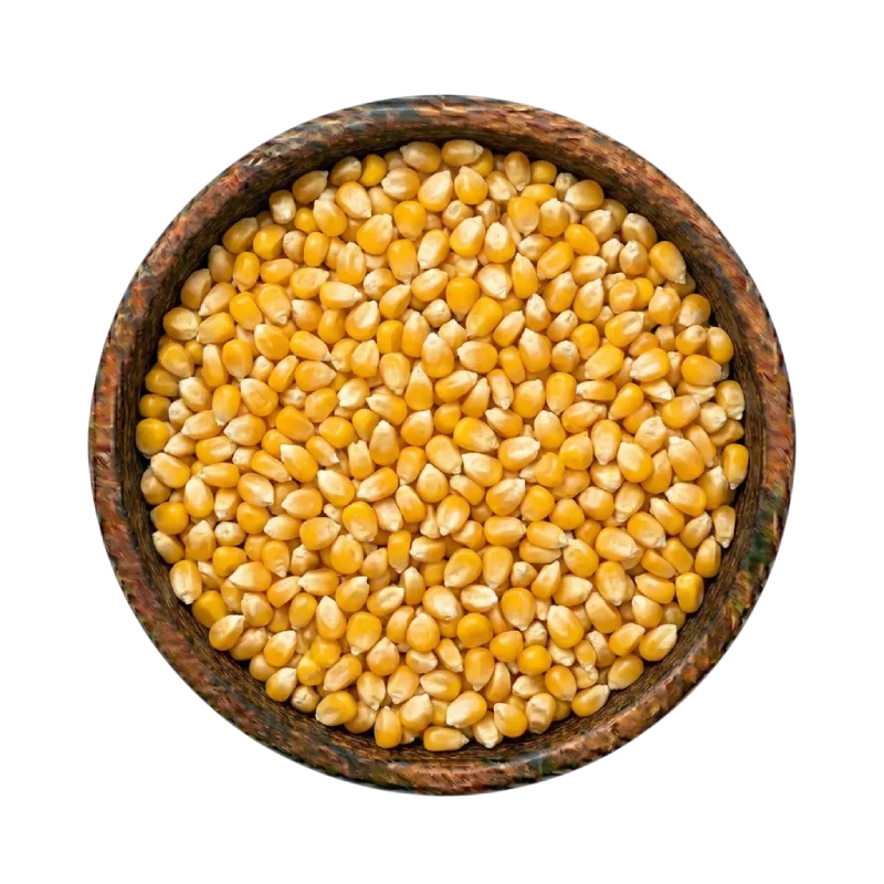 Yellow Corn